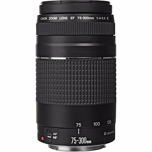 Camera lens 75-300mm with zoom features