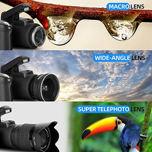 Comparison of macro, wide-angle, and super telephoto camera lenses with example images.