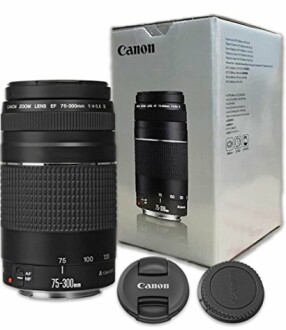 Canon EF 75-300mm Telephoto Lens