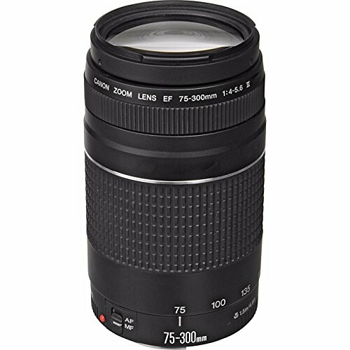 Canon Zoom Lens EF 75-300mm on white background